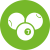 Behendigheidssport